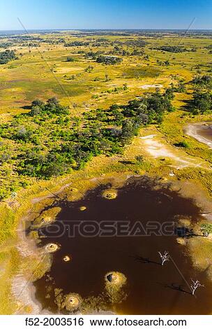 Stock Photograph - Okavango Delta, Botswana, Africa.. Fotosearch