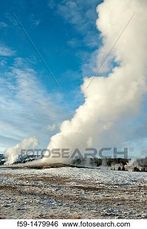 Stock Photograph - Old Faithful Geyser Eruption, Winter, Yellowstone NP, WY. Fotosearch
