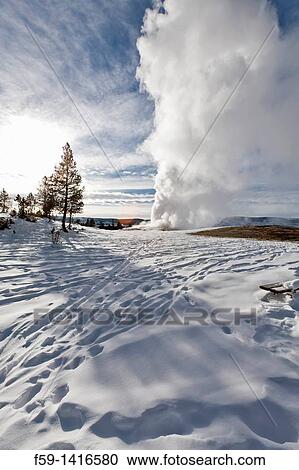 Old Faithful Geyser, Winter, Yellowstone NP, WY View Large Photo Image Stock Image - Old Faithful Geyser, Winter, Yellowstone NP, WY. Fotosearch