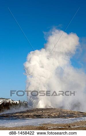 Old Faithful geyser, Yellowstone National Park, Wyoming-Montana, USA View Large Photo Image Stock Image - Old Faithful geyser, Yellowstone National Park, Wyoming-Montana, USA. Fotosearch