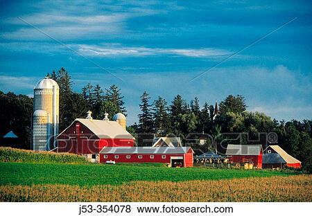 Old farm. Westby, Wisconsin. USA. View Large Photo Image Stock Photo - Old farm. Westby, Wisconsin. USA.. Fotosearch