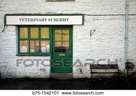 Old fashion Veterinary Surgery in Sedbergh, Book Town in the Yorkshire Dales & Lake Distric, England? s, 5 miles from the M6 View Large Photo Image Stock Image - Old fashion Veterinary Surgery in Sedbergh, Book Town in the Yorkshire Dales & Lake Distric, England? s, 5 miles from the M6. Fotosearch