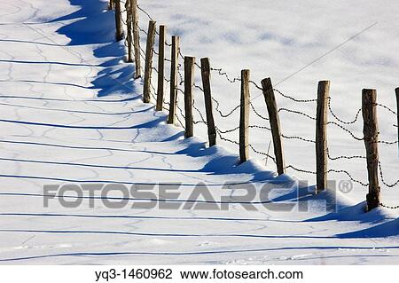 Old fence after a snow storm, Piedrasluengas pass, Cantabria, Spain View Large Photo Image Stock Image - Old fence after a snow storm, Piedrasluengas pass, Cantabria, Spain. Fotosearch