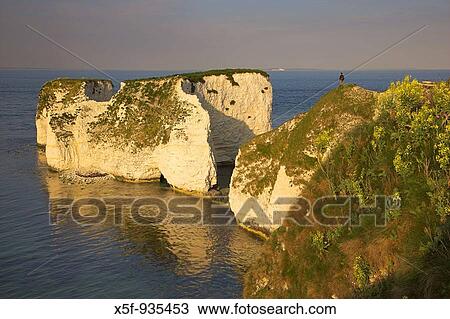 Old Harry Rocks nr Swanage Dorset View Large Photo Image Stock Image - Old Harry Rocks nr Swanage Dorset. Fotosearch