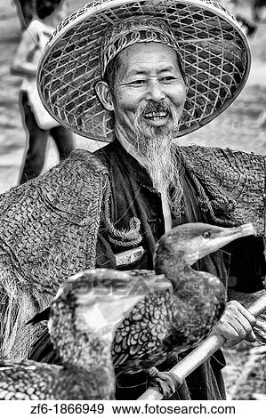 Old man fisherman with his cormorant fishing bird in traditional costume in Yangshuo China View Large Photo Image Stock Photo - Old man fisherman with his cormorant fishing bird in traditional costume in Yangshuo China. Fotosearch