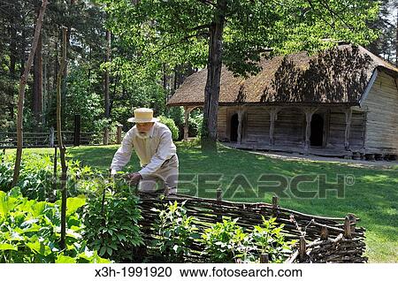 old man gardening in front of a thatched house in the village of Kurzeme, Ethnographic Open-Air Museum around Riga, Latvia, Baltic region, Northern Europe. View Large Photo Image Stock Image - old man gardening in front of a thatched house in the village of Kurzeme, Ethnographic Open-Air Museum around Riga, Latvia, Baltic region, Northern Europe.. Fotosearch