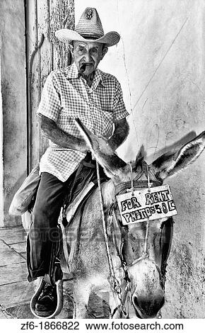 Old man riding donkey for tourists in the old colonial city of Trinidad in Cuba View Large Photo Image Stock Image - Old man riding donkey for tourists in the old colonial city of Trinidad in Cuba. Fotosearch