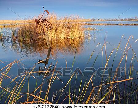 Old plough sculpture at Tourist Information Centre of Encanyissada Lagoon. Ebro River Delta Natural Park, Tarragona province, Catalonia, Spain. View Large Photo Image Stock Image - Old plough sculpture at Tourist Information Centre of Encanyissada Lagoon. Ebro River Delta Natural Park, Tarragona province, Catalonia, Spain.. Fotosearch