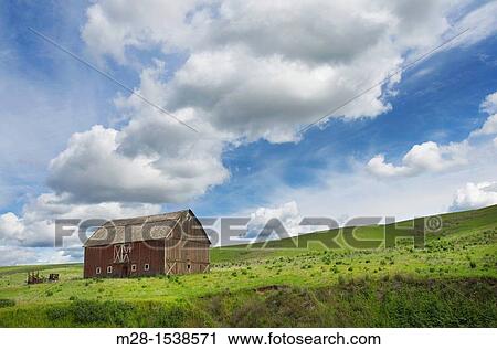 Old Red barn amidst green fields of wheat in the Plause region of Washington State View Large Photo Image Stock Image - Old Red barn amidst green fields of wheat in the Plause region of Washington State. Fotosearch