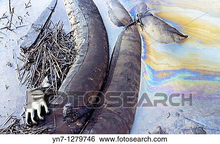 old rubber glove in slimy ooze View Large Photo Image Stock Photograph - old rubber glove in slimy ooze. Fotosearch