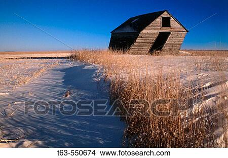 Old shack leaning in winter. Manitoba, Canada. View Large Photo Image Picture - Old shack leaning in winter. Manitoba, Canada.. Fotosearch