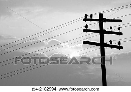 Picture - Old telegraph pole of the Death Railway in Kanchanaburi. Fotosearch