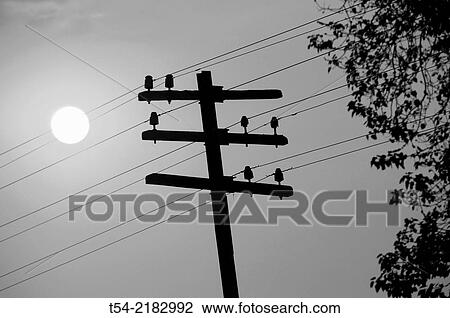 Old telegraph pole of the Death Railway in Kanchanaburi View Large Photo Image Stock Image - Old telegraph pole of the Death Railway in Kanchanaburi. Fotosearch