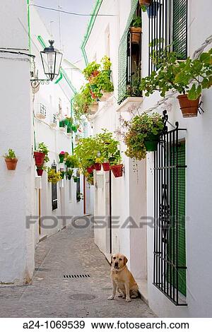 Stock Photo - Old town, Priego de Cordoba, Cordoba, Andalusia, Spain. Fotosearch