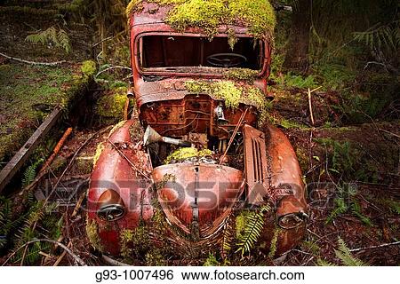 Stock Photograph - Old truck covered with moss. Fotosearch