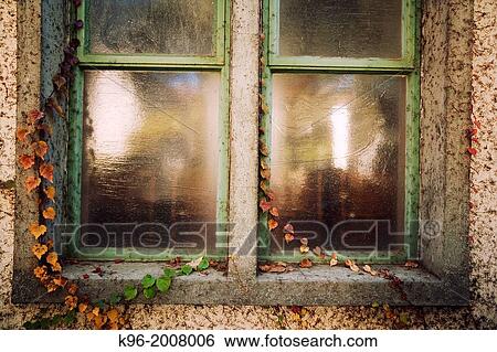 Old window and ivy at the Claremont colleges of Upland, California View Large Photo Image Stock Photograph - Old window and ivy at the Claremont colleges of Upland, California. Fotosearch