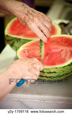 Old woman cutting a watermelon View Large Photo Image Stock Photograph - Old woman cutting a watermelon. Fotosearch