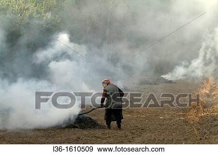 Old woman making bondfires after harvest. Poland. Podlasie region View Large Photo Image Stock Photo - Old woman making bondfires after harvest. Poland. Podlasie region. Fotosearch