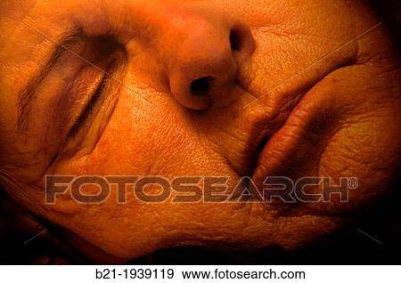 Older woman sleeping View Large Photo Image Stock Photo - Older woman sleeping. Fotosearch