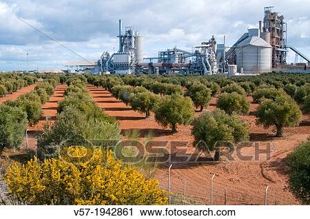 Olive grove and cement factory. Morata de Tajua, Madrid province, Spain. View Large Photo Image Stock Image - Olive grove and cement factory. Morata de Tajua, Madrid province, Spain.. Fotosearch