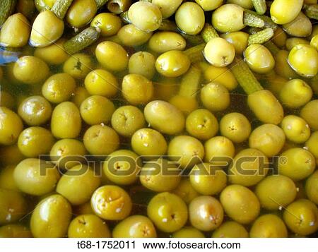 Olives View Large Photo Image Stock Image - Olives. Fotosearch