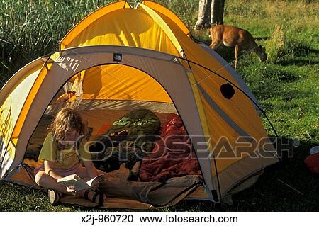 Olympic National Park, Washington - Mariel West, 9, reads a book in front of her tent on a backpacking trip in Olympic National Park, while a deer eats grass behind the tent MR View Large Photo Image Stock Image - Olympic National Park, Washington - Mariel West, 9, reads a book in front of her tent on a backpacking trip in Olympic National Park, while a deer eats grass behind the tent MR. Fotosearch