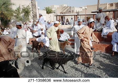 Stock Photograph - Oman, Al-Dakhiliyah, Nizwa, livestock souq, goats, people.. Fotosearch