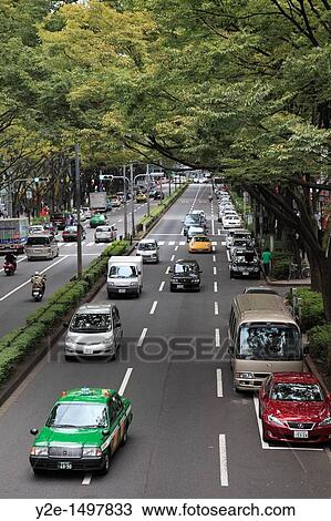 Omote-sando, upscale shopping boulevard lined with designer stores, Harajuku, Tokyo, Japan, Asia View Large Photo Image Stock Image - Omote-sando, upscale shopping boulevard lined with designer stores, Harajuku, Tokyo, Japan, Asia. Fotosearch
