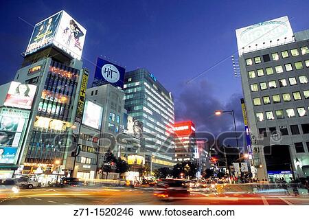 Omotesando Boulevard at night, Tokyo, Japan View Large Photo Image Stock Photograph - Omotesando Boulevard at night, Tokyo, Japan. Fotosearch