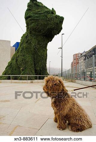On background? Puppy?, sculpture by Jeff Koons, in front of Guggenheim Museum by Frank O. Gehry. Bilbao. Biscay, Spain View Large Photo Image Stock Image - On background? Puppy?, sculpture by Jeff Koons, in front of Guggenheim Museum by Frank O. Gehry. Bilbao. Biscay, Spain. Fotosearch