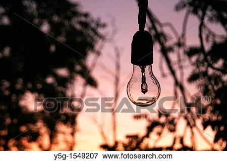 one bulb light outside in woods forest View Large Photo Image Stock Photo - one bulb light outside in woods forest. Fotosearch