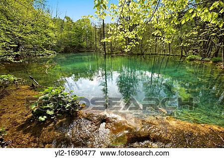 One of Plitvice mineral water lakes Plitvice Plitvicka Lakes National Park, Croatia A UNESCO World Heritage Site View Large Photo Image Stock Photo - One of Plitvice mineral water lakes Plitvice Plitvicka Lakes National Park, Croatia A UNESCO World Heritage Site. Fotosearch