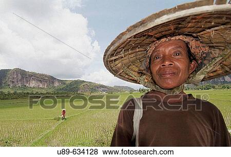 One of the workers of the ricefields in Harau canyon and valley. Sumatra (Indonesia). View Large Photo Image Stock Photo - One of the workers of the ricefields in Harau canyon and valley. Sumatra (Indonesia).. Fotosearch
