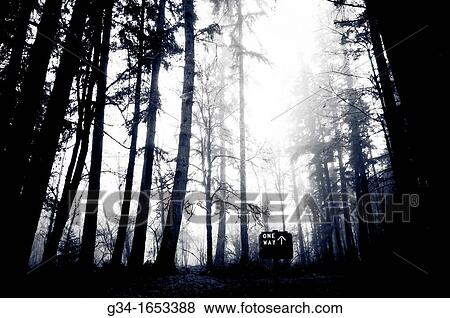 Stock Photo - One Way. Fotosearch