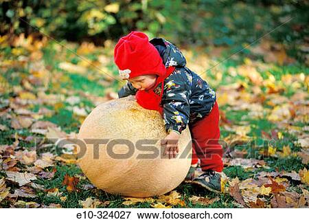 One year old boy with pumpkin View Large Photo Image Stock Photo - One year old boy with pumpkin. Fotosearch