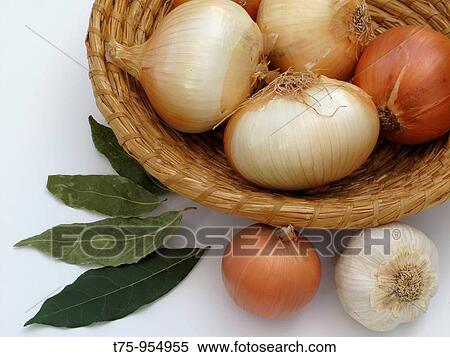 Onion, garlic and bay leaves View Large Photo Image Stock Photography - Onion, garlic and bay leaves. Fotosearch