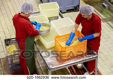 Stock Photograph - Onion, Production line of canned vegetables and beans in glass bottle, Cooked Tomato, Canning Industry, Agri-food, Navarra, Spain. Fotosearch