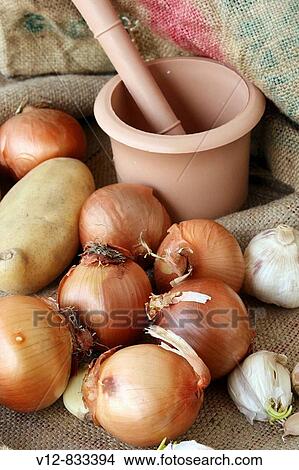 Onions and garlic on jute Background View Large Photo Image Picture - Onions and garlic on jute Background. Fotosearch