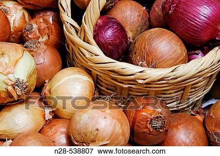 Onions. Organic vegetable. View Large Photo Image Stock Photo - Onions. Organic vegetable.. Fotosearch