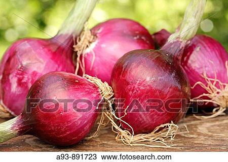 Onions View Large Photo Image Stock Image - Onions. Fotosearch