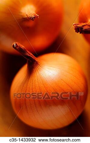 Onions View Large Photo Image Stock Image - Onions. Fotosearch