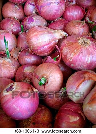 Onions View Large Photo Image Stock Image - Onions. Fotosearch
