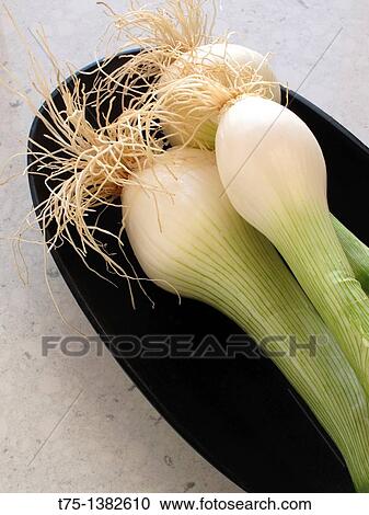 Onions View Large Photo Image Stock Image - Onions. Fotosearch