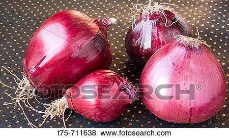 Onions View Large Photo Image Stock Photo - Onions. Fotosearch