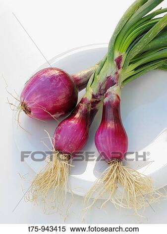 Onions View Large Photo Image Stock Photography - Onions. Fotosearch