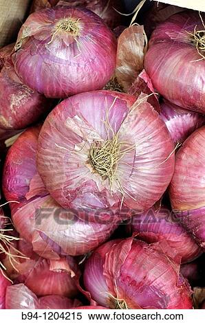 Onions. Valceboll? re market. Languedoc Roussillon. Pyr? n? es Orientales. France. View Large Photo Image Stock Photography - Onions. Valceboll? re market. Languedoc Roussillon. Pyr? n? es Orientales. France.. Fotosearch