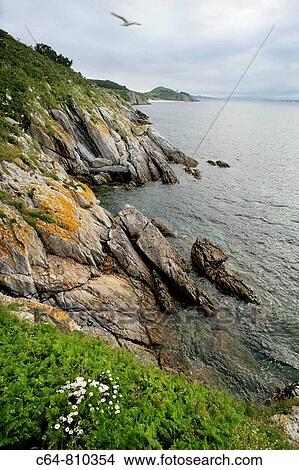 Ons island, Atlantic Islands National Park, Galicia, Spain View Large Photo Image Picture - Ons island, Atlantic Islands National Park, Galicia, Spain. Fotosearch