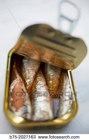 open can of sardines View Large Photo Image Stock Image - open can of sardines. Fotosearch