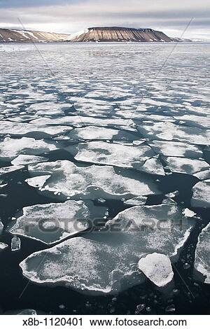 Open leads surrounded by multi-year ice floes in the Barents Sea between Edgeya Edge Island and Kong Karls Land in the Svalbard Archipelago, Norway View Large Photo Image Stock Image - Open leads surrounded by multi-year ice floes in the Barents Sea between Edgeya Edge Island and Kong Karls Land in the Svalbard Archipelago, Norway. Fotosearch