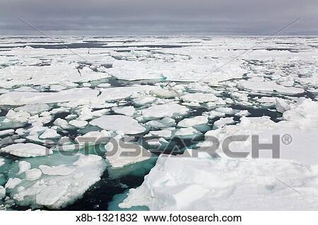 Open leads surrounded by multi-year ice floes in the Barents Sea between Edgeoya Edge Island and Kong Karls Land in the Svalbard Archipelago, Norway View Large Photo Image Stock Image - Open leads surrounded by multi-year ice floes in the Barents Sea between Edgeoya Edge Island and Kong Karls Land in the Svalbard Archipelago, Norway. Fotosearch